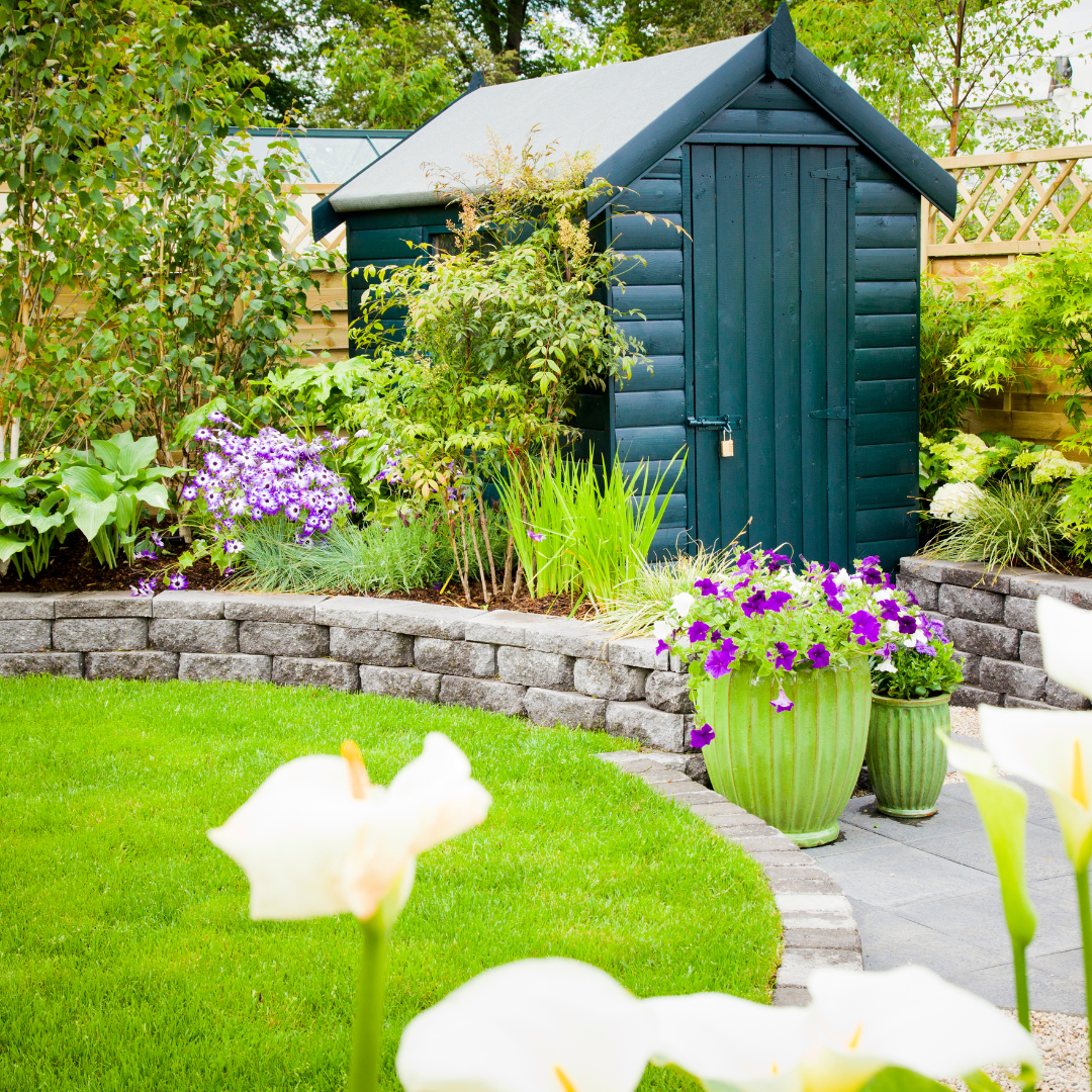 Garden shed surrounded by planting and retaining wall